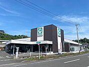 コープ宇宿店（348m）