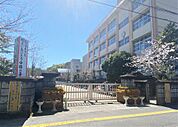 中郡小学校（900m）