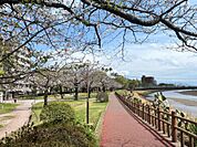 甲突川左岸緑地（100m）