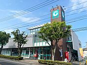 コープ紫原店（770m）