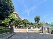 中洲小学校（30m）