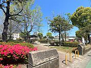 八幡公園（50m）
