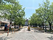 鹿児島大学郡元キャンパス（300m）
