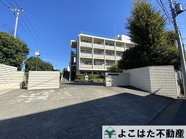 周辺 リムザ 9階/-