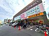 周辺：コープ葛飾白鳥店 120m