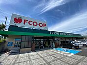 FCO・OP折尾店 2264m