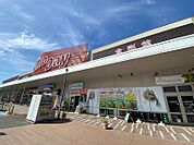 ハローデイ共立大前店 2014m