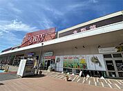 HalloDay(ハローデイ) 共立大前店 1168m
