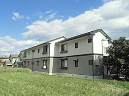 アラサンテコジマ 203