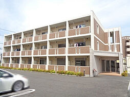 メディカル　松下南