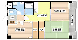 JR東海道・山陽本線 南草津駅 徒歩13分の賃貸マンション 4階3DKの間取り