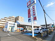 ウエルシア越谷登戸店 804m