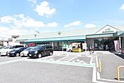 マルエツ安行慈林店 648m