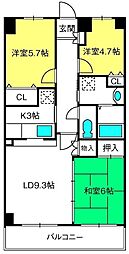 フェリスローマ浦和 3LDKの間取図画像