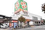 ライフ北越谷 234m