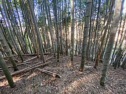 物件画像 山武郡横芝光町小田部　土地