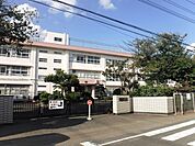 平塚市立神田小学校平塚市立神田小学校 450m