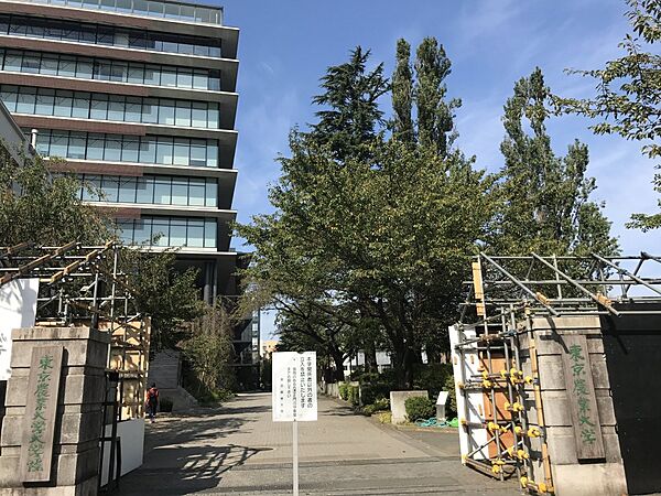 東京都世田谷区船橋1丁目(賃貸一戸建2LDK・1階・44.60㎡)の写真 その24