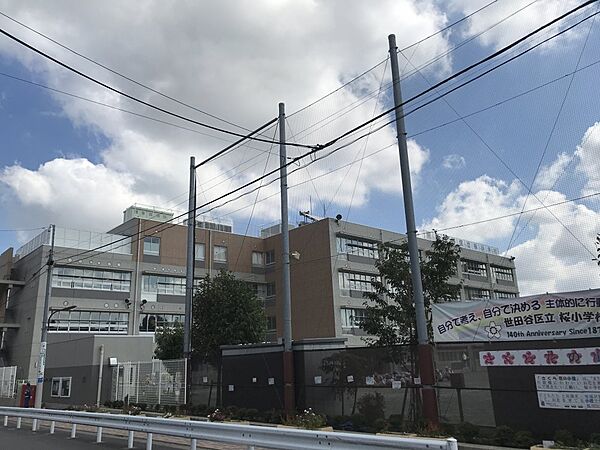 画像15:【小学校】世田谷区立桜小学校まで560ｍ