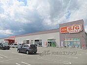 ザ・ビッグエクストラ　氷上店まで750メートル
