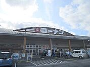 コーナン　篠山店まで5200メートル