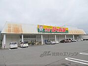 ジャパン　市島店まで1700メートル
