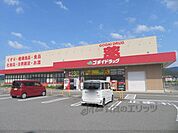 ゴダイドラッグ　野田川店まで800メートル