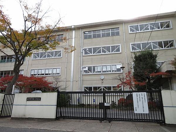 画像17:【中学校】松戸市立第三中学校まで388ｍ