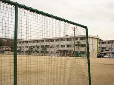 Beautiful mountainous landscape with colorful sky