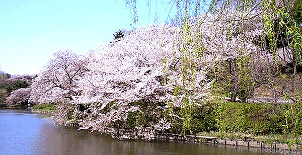 画像20:【公園】県立 三ツ池公園まで1454ｍ