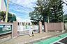 周辺：世田谷区立経堂小学校 980m
