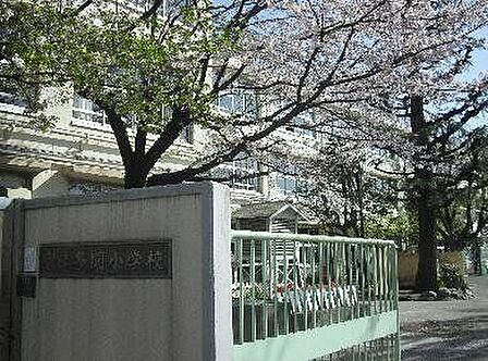 世田谷区立多聞小学校 490m