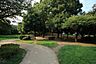 周辺：次大夫堀公園 430m