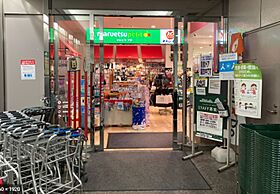 パークリュクス虎ノ門  ｜ 東京都港区西新橋３丁目（賃貸マンション1R・2階・27.01㎡） その18