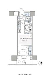 グランシテイタワー月島 1LDKの間取図画像