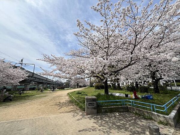 大阪府大阪市東住吉区東田辺2丁目(賃貸アパート1LDK・2階・37.78㎡)の写真 その21