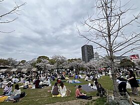 大阪府大阪市天王寺区堀越町（賃貸マンション1LDK・1階・32.94㎡） その18