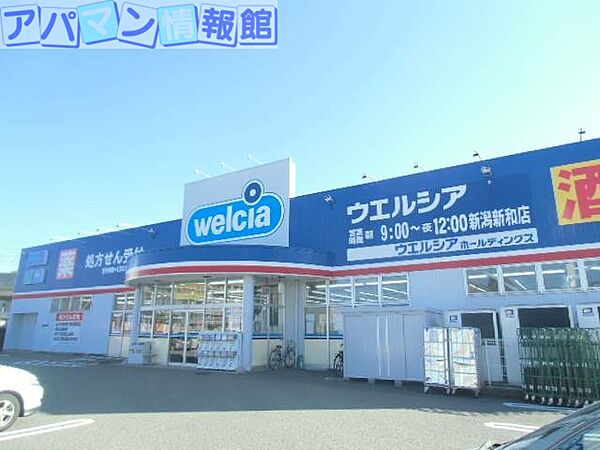 画像18:ウエルシア薬局新潟新和店 509m