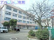新潟市立桜が丘小学校 487m