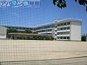 新潟市立小新中学校 1712m