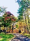 澄川公園 816m