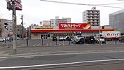 ツルハドラッグ南6条店 521m
