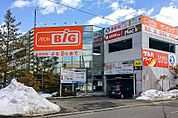 ザ・ビッグ豊平店 290m