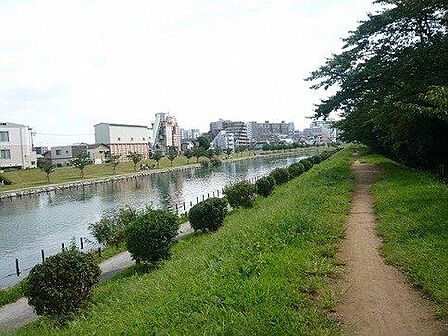 亀戸九丁目緑道公園 徒歩11分。 850m