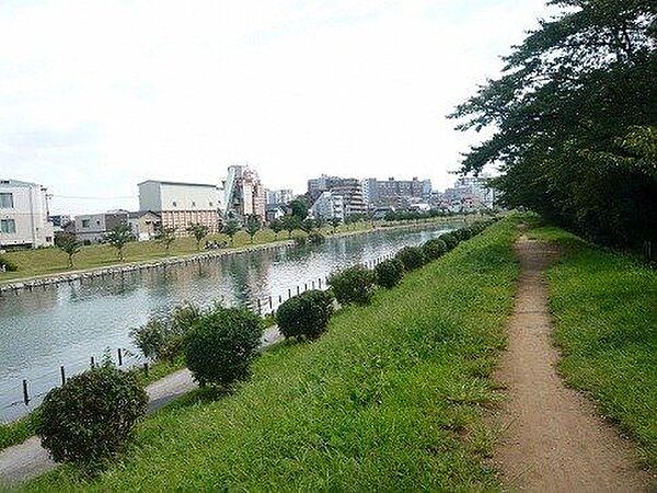 周辺を拡大表示