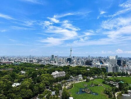 高層階ならではの伸びやかな景色が広がり、日常の中で開放感を味わえます。