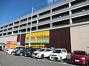 アピタ　桑名店　営業時間　9