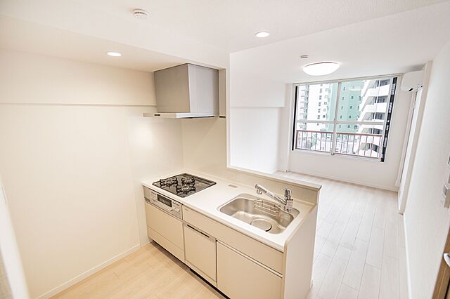 リビング/ダイニング 板橋スカイプラザマンション 6階/-