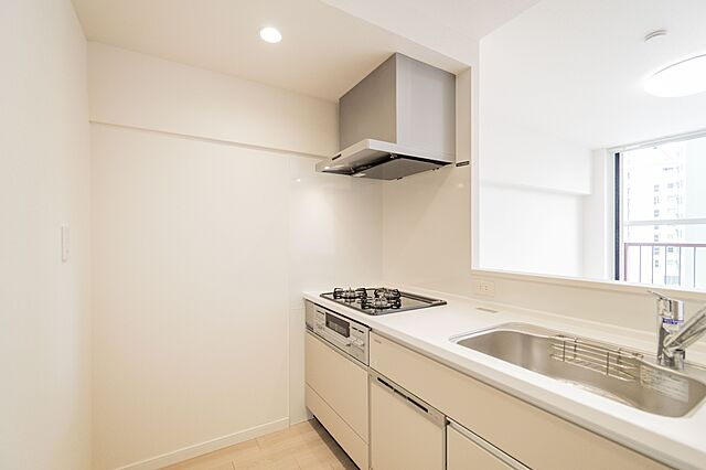 キッチン 板橋スカイプラザマンション 6階/-