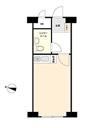 ダイアパレス石神井公園 ワンルームの間取図画像